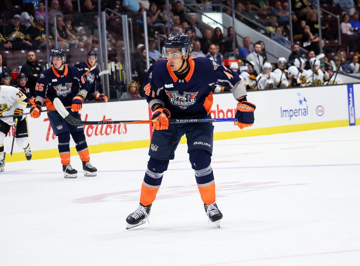 Alex Kostov Flint Firebirds