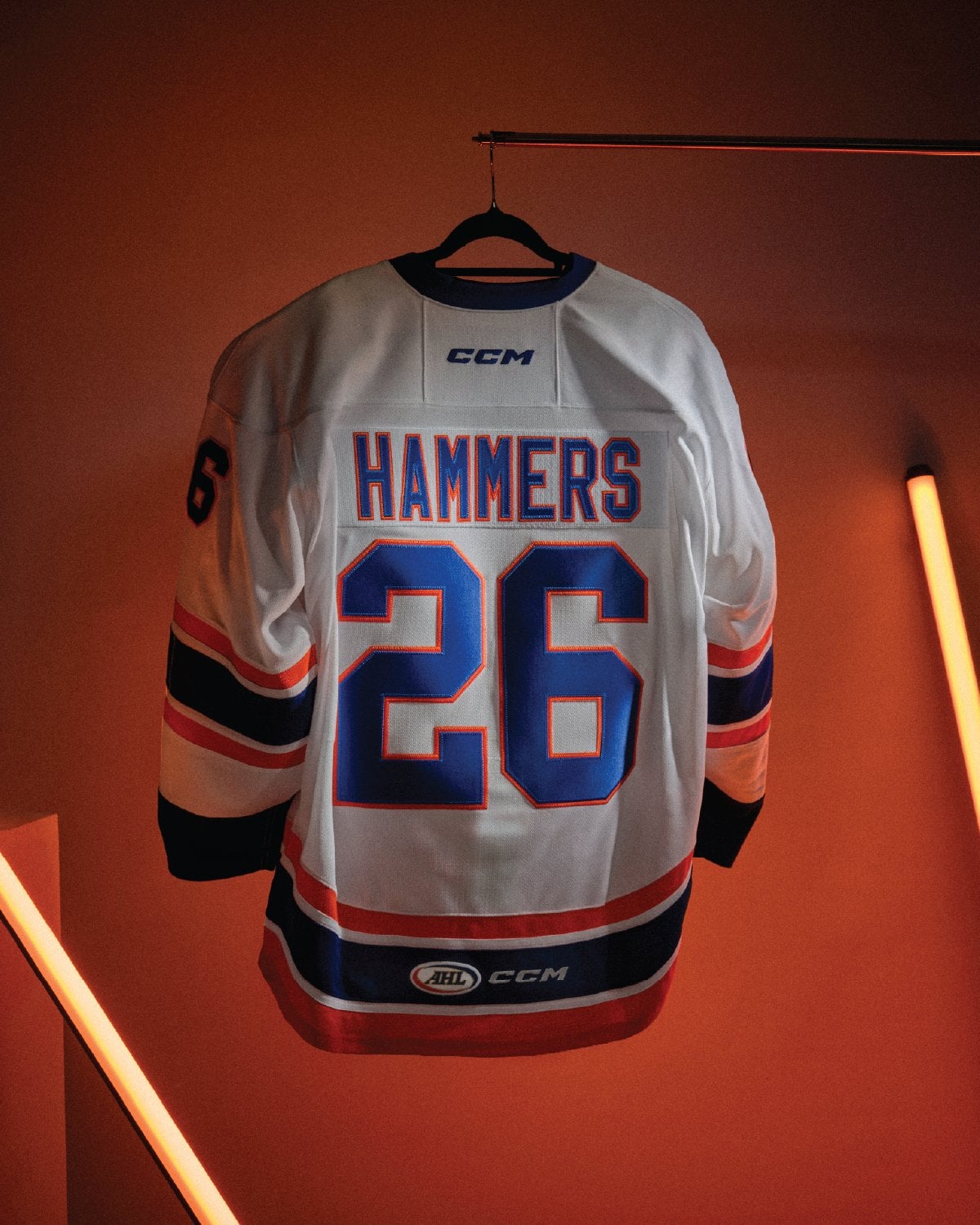 Hamilton Hammers