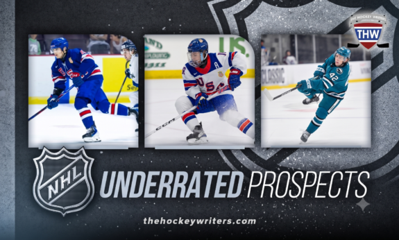 Every NHL Team’s Most Underrated Prospect