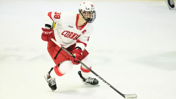Flames Look to Boost Stale Offence by Calling Up Castagna & Suniev