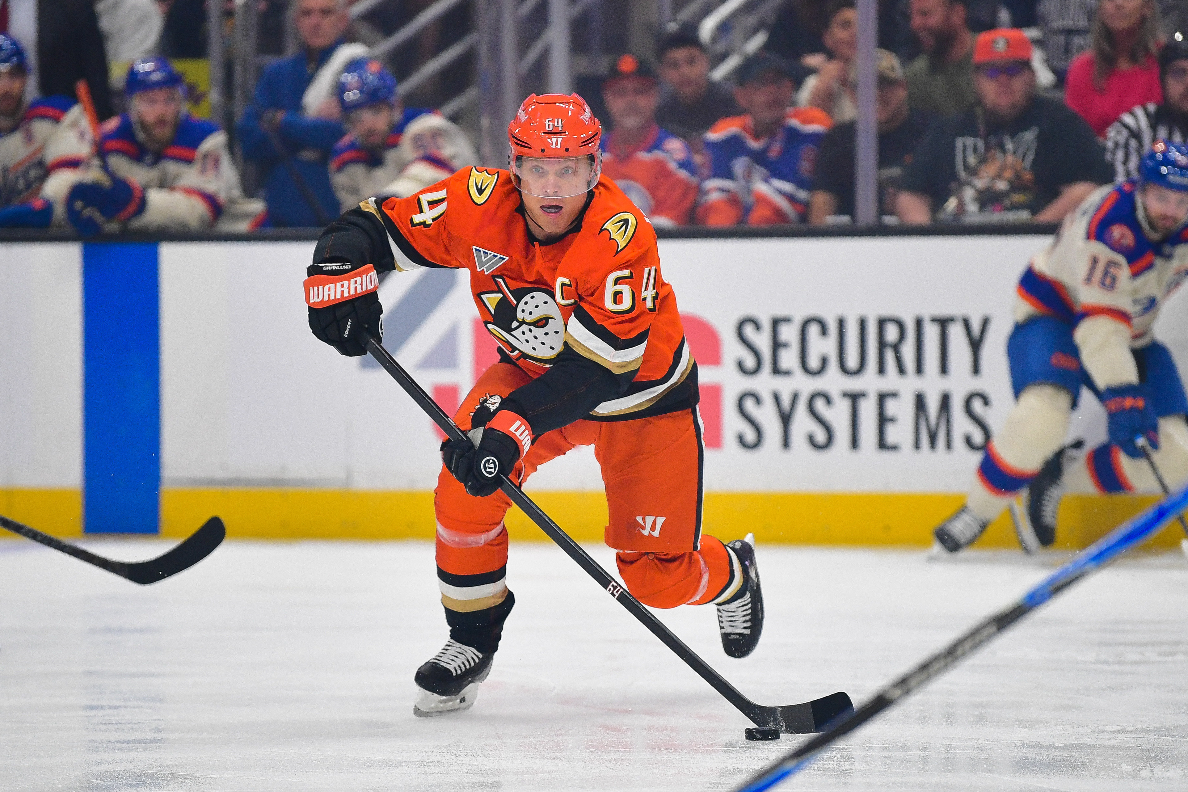 Ducks News and Notes: Off to a Hot Start